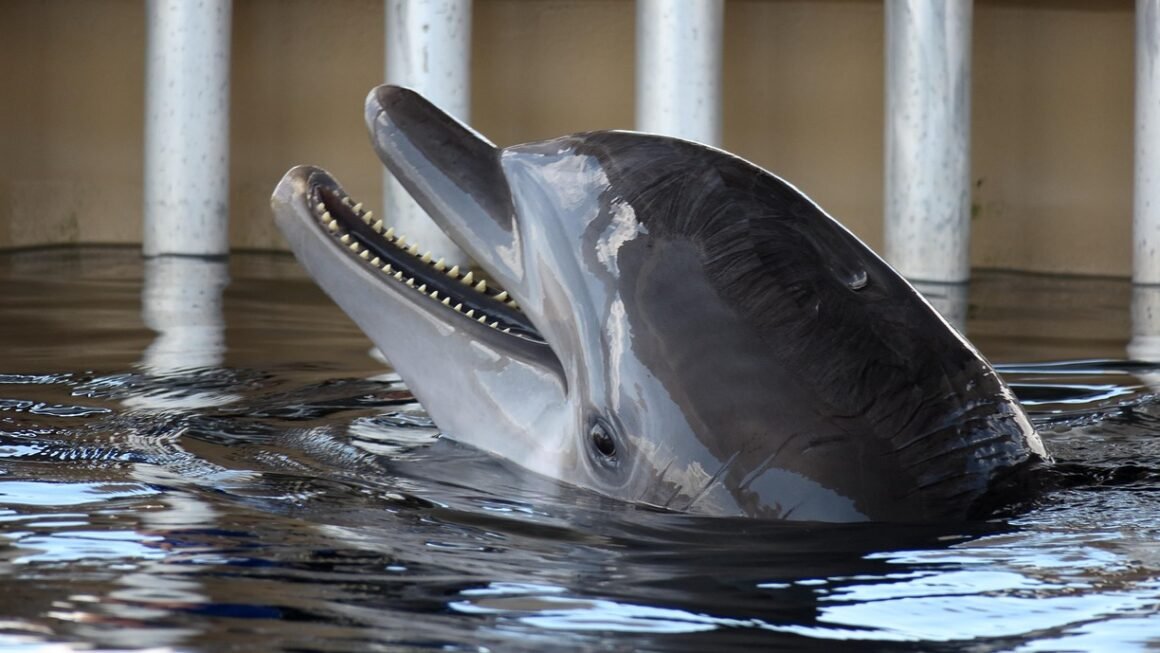 Beyond Bleach: Targeted Stain Removal Strategies