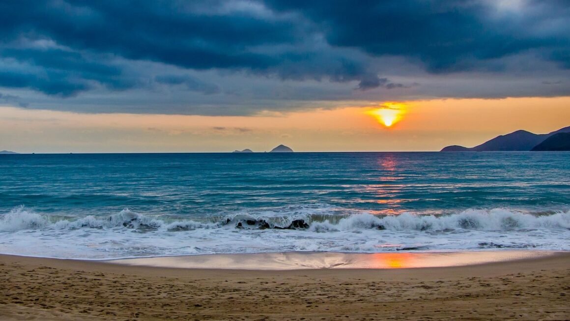 Decoding Dental PPOs: Maximize Benefits, Minimize Out-of-Pocket Costs