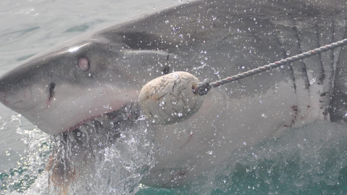 Gentle Brilliance: Whitening Sensitive Teeth, Finally Possible
