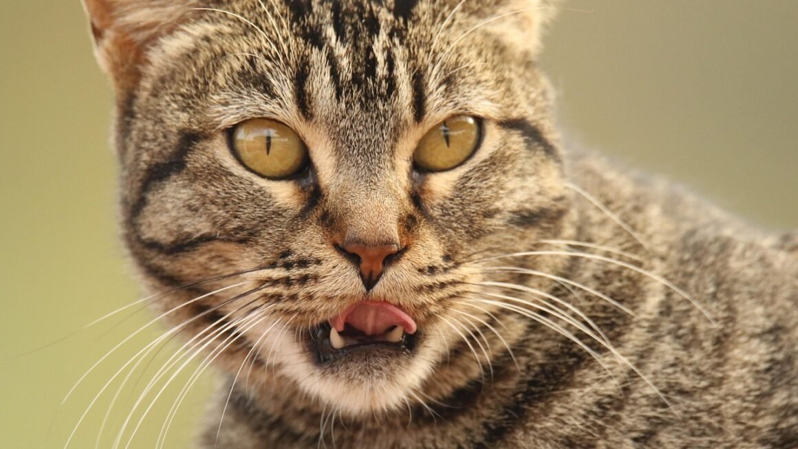 Activated Charcoal Toothpaste: Beyond Whitening Hype?