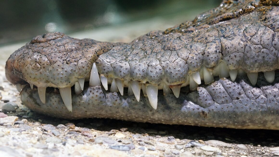 Beyond Bleach: Accelerated Teeth Whitening Protocols Emerge