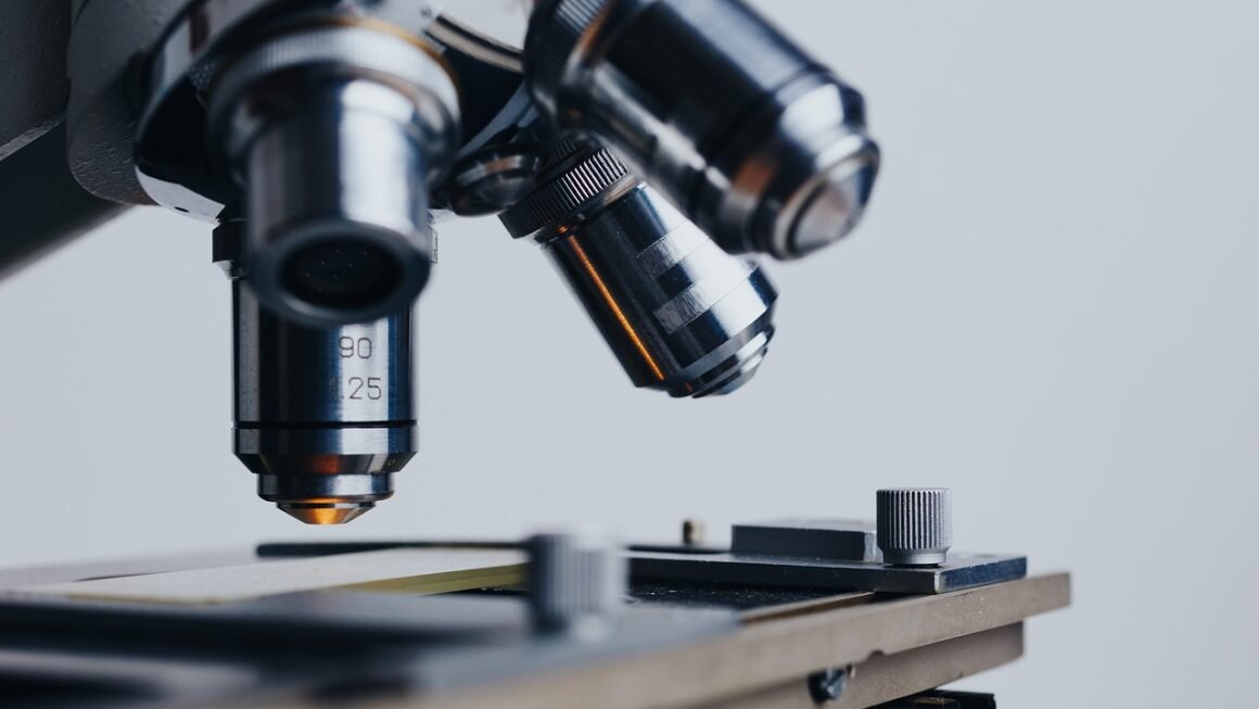 The Occlusal Compass: Navigating Complex Bite Adjustments