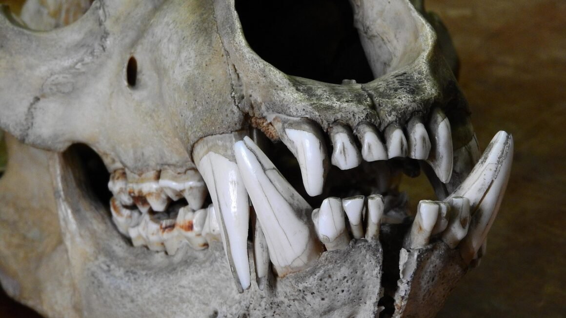 Beyond Whitening: The Science Of Restorative Tooth Polish