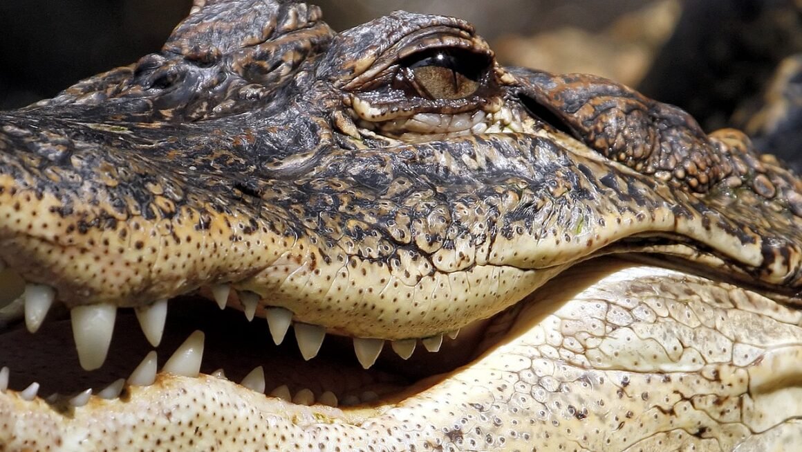 Peroxide Gel: Unlocking Formulation Secrets For Targeted Efficacy