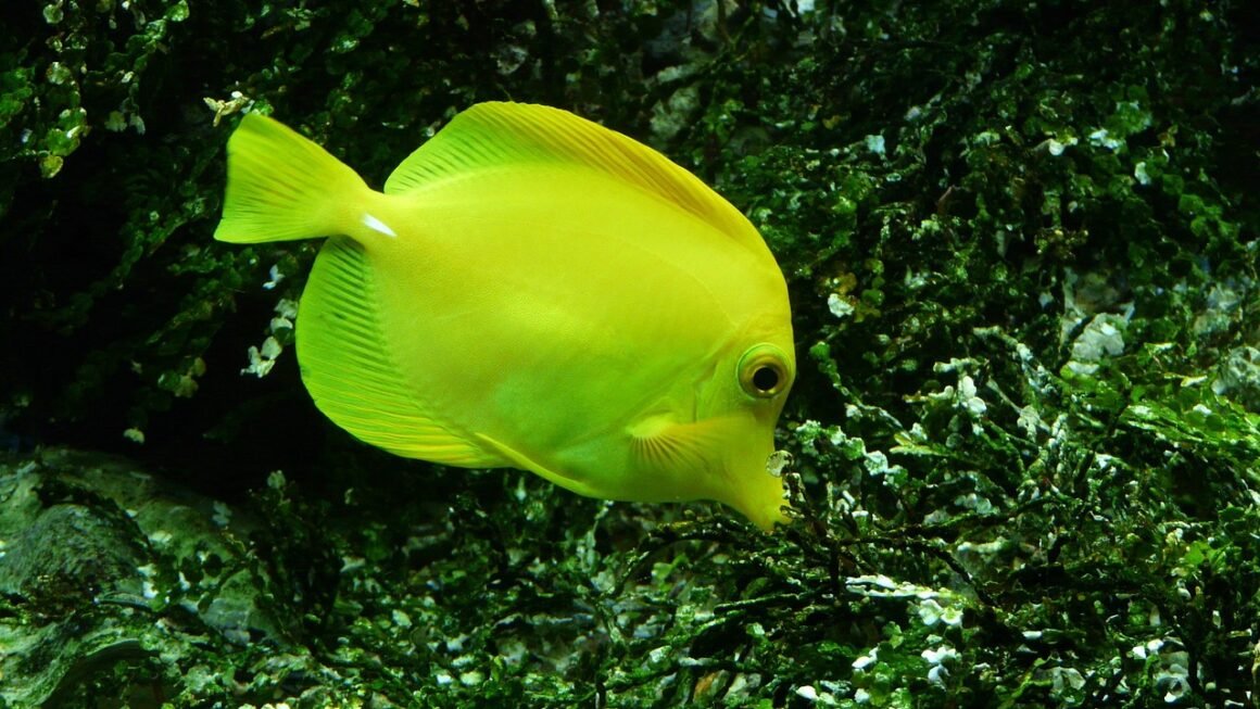 Beyond Adhesion: The Precision Of Implant-Secured Dentures