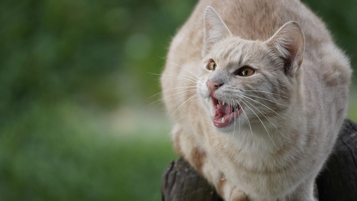 The Art & Science Of Smile Design Evolution