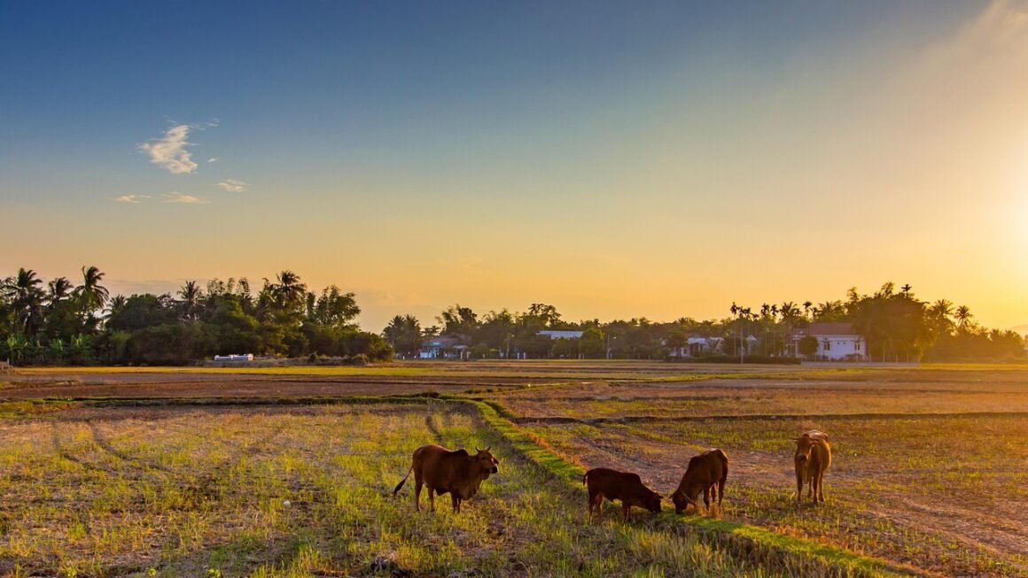 Beyond The Brush: The Art Of Professional Dental Cleaning
