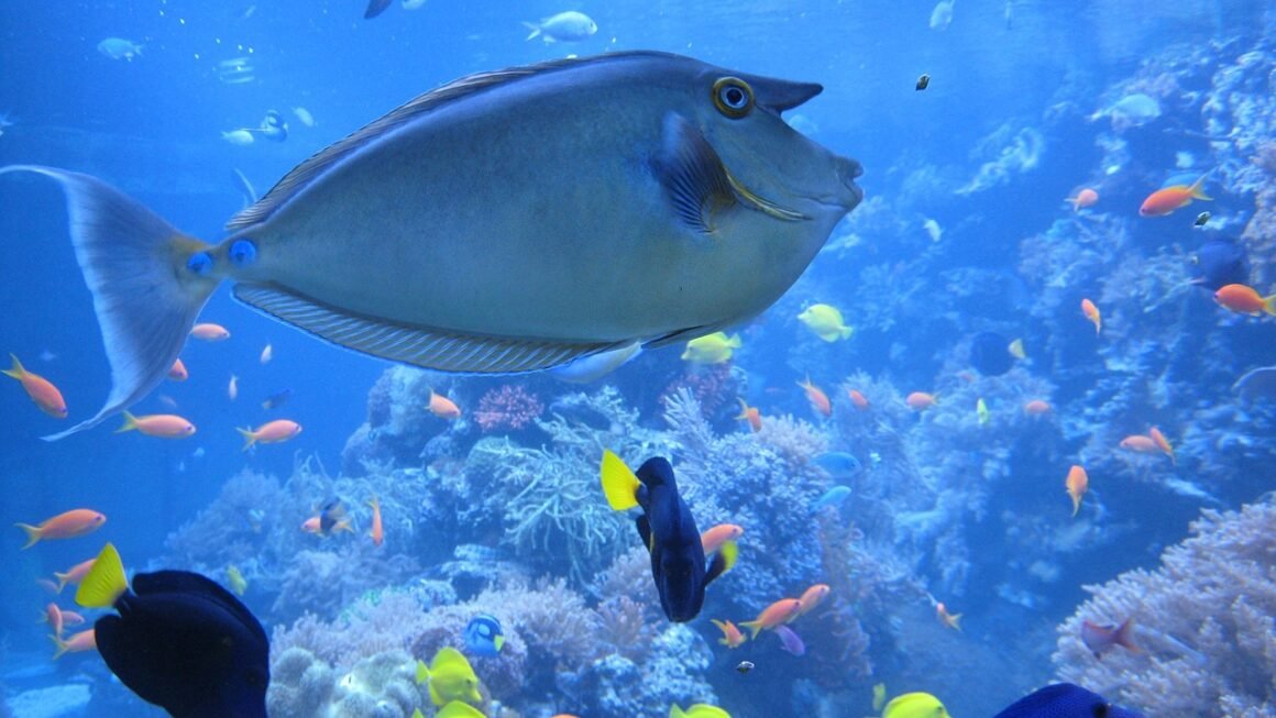 Veneers: Crafting Confidence Through Conservative Cosmetic Dentistry