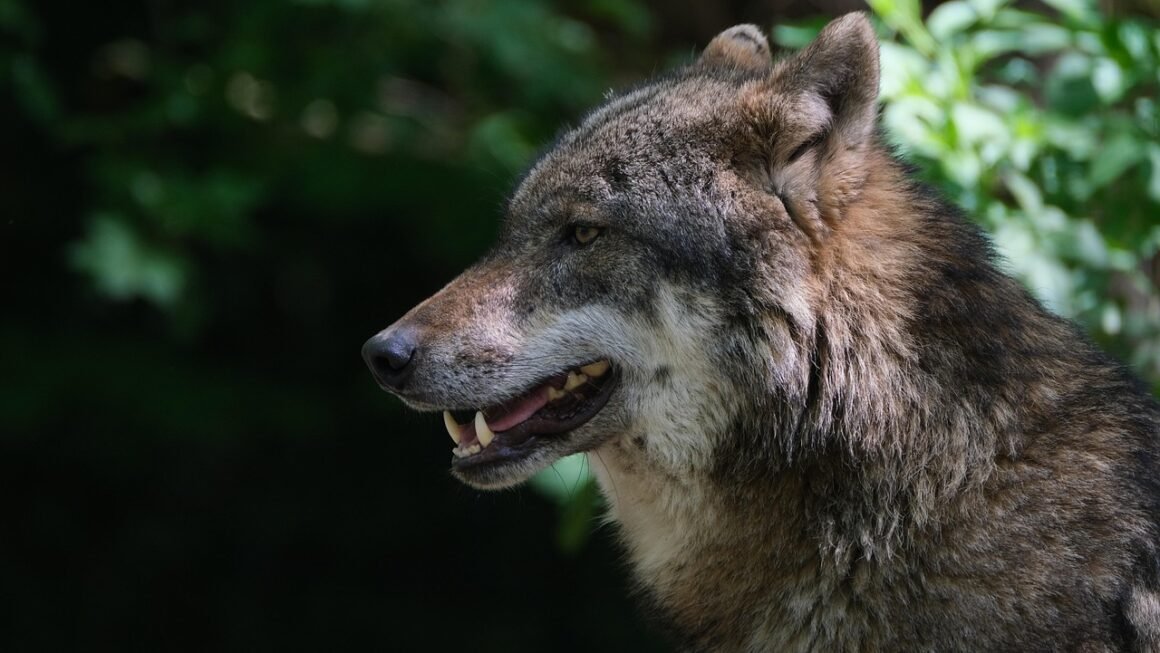 Beyond White: The Future Of Personalized Teeth Brightening