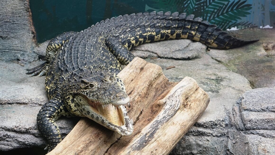 Beyond The Bleach: Sustained Whitening Strategies