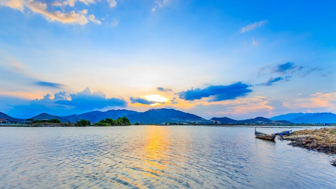 Navigating Dental HMOs: Value, Access, And Choice