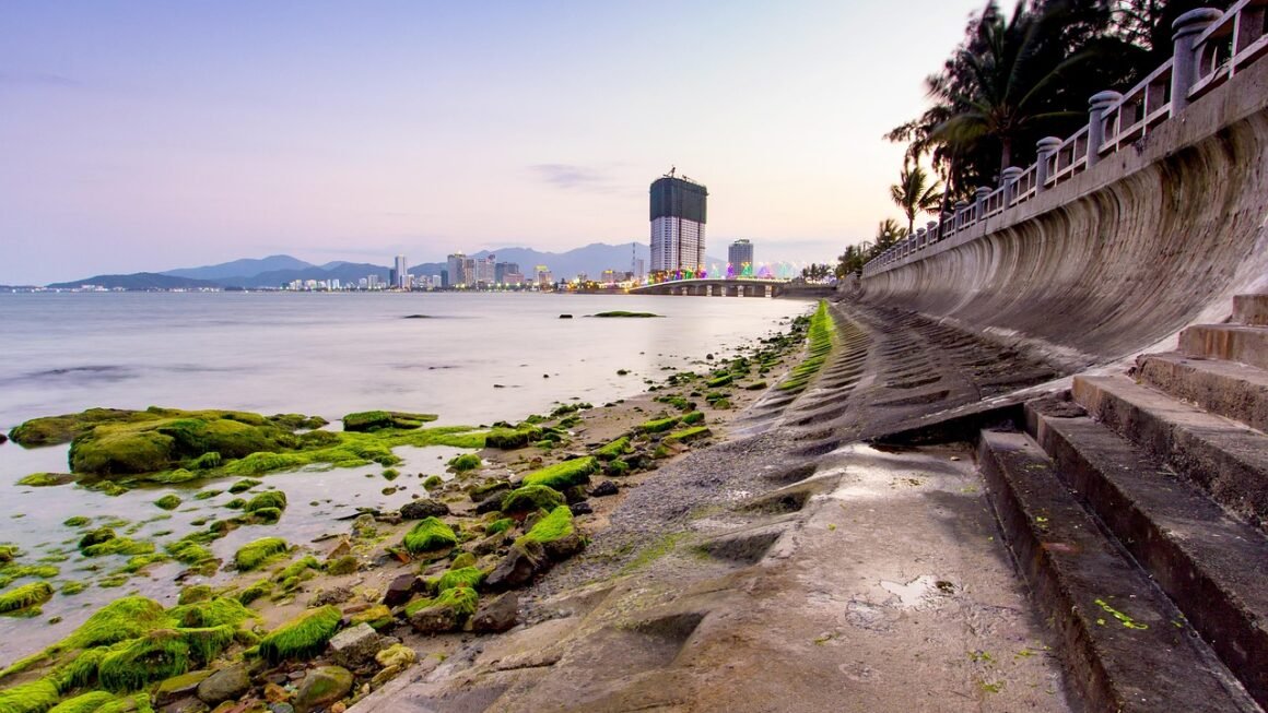 Navigating Tooth Extraction: Insurance Pitfalls And Pathways