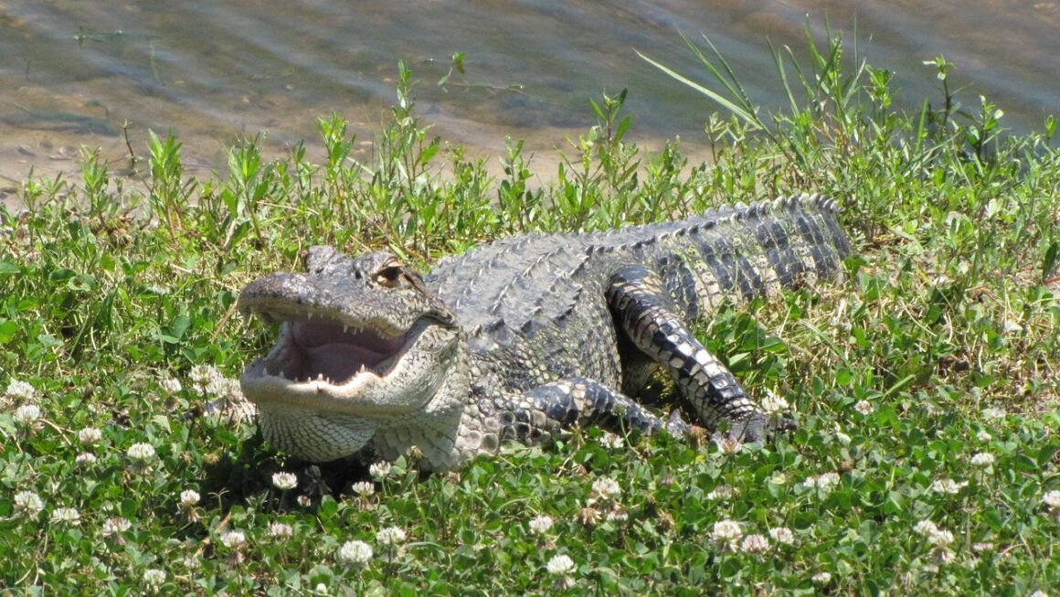 Beyond Bleach: Next-Gen Professional Whitening Tech