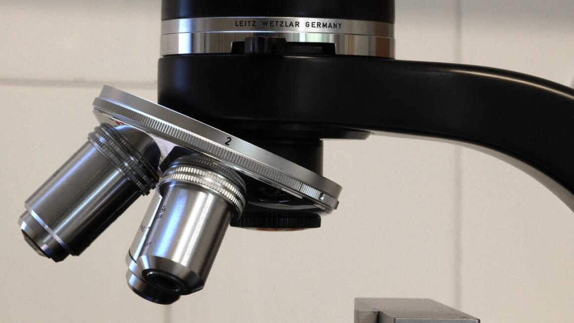 Beyond Braces: Orthodontic Innovations Reshaping Smiles