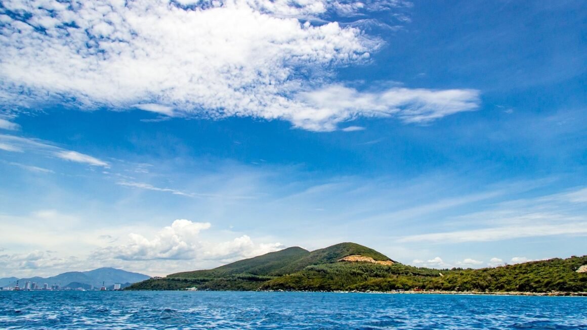 Beyond The Brush: Optimizing Your Dental Cleaning Appointment