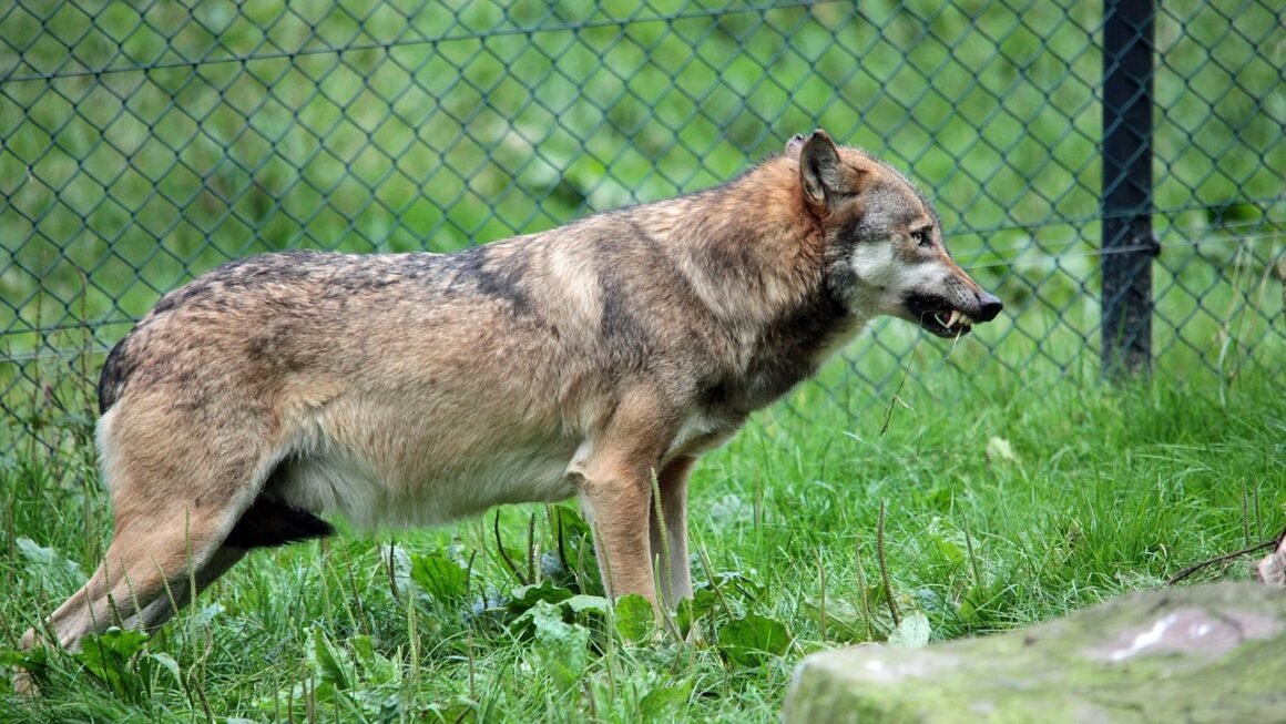 Pen Power: The Science Behind Spotless Teeth