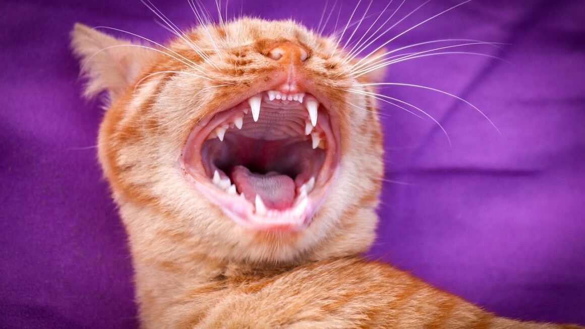 Beyond Bleach: Custom Home Whitening For Lasting Brilliance