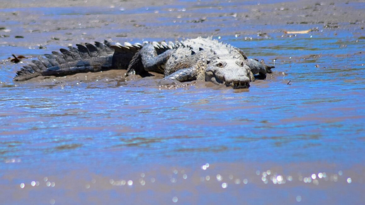 Beyond White: Unlocking The Science Of Teeth Bleaching