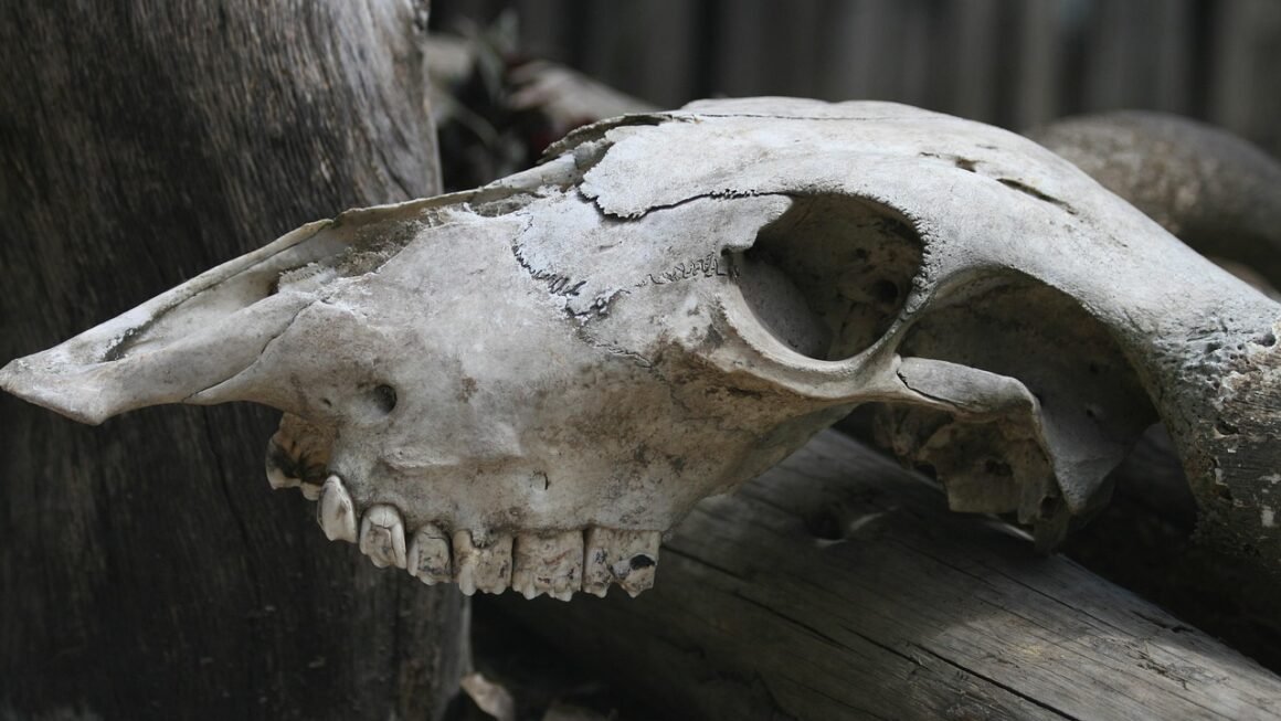 Beyond Bleach: Tailoring Whitening For Unique Enamel