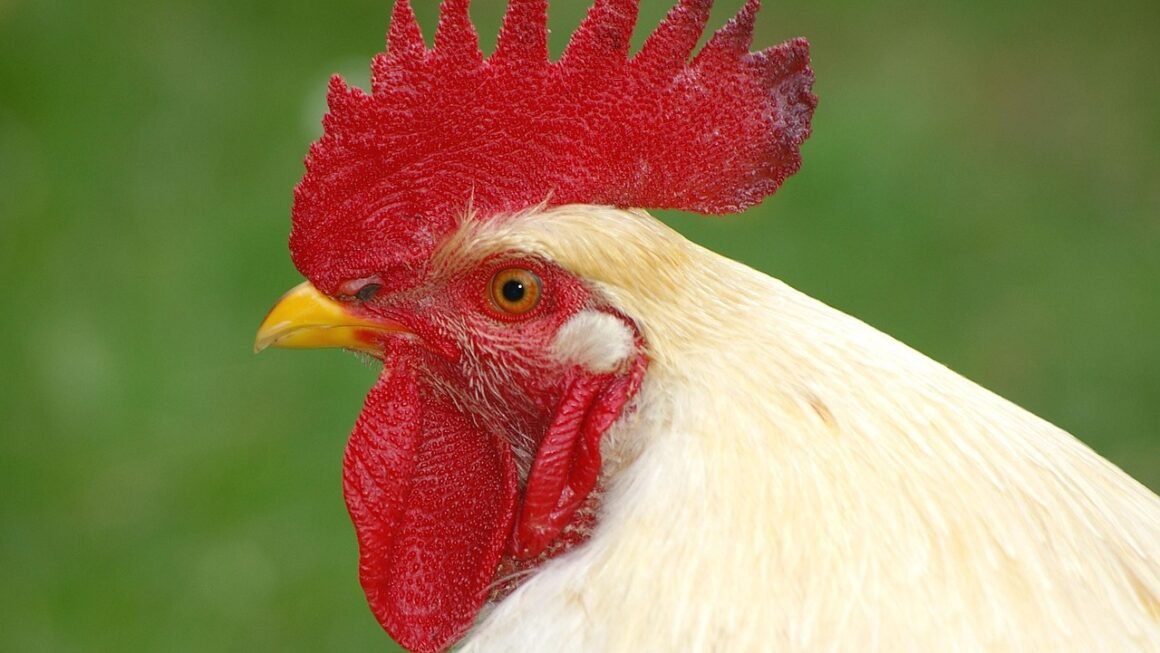 Beyond Bleach: Advanced Professional Whitening Protocols