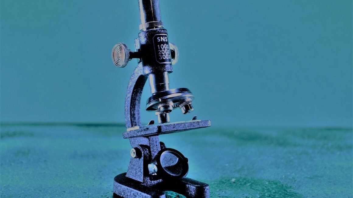 Aligners: Discreet Alignment Meets Advanced Material Science