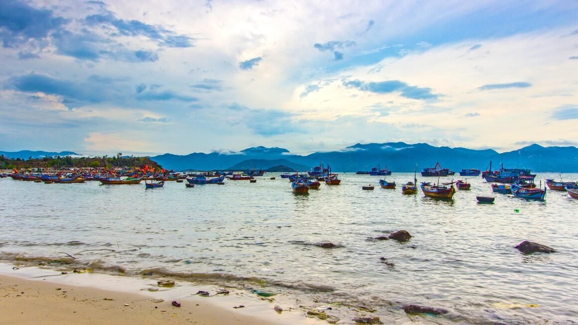 Dental Policy: Bridging Gaps In Oral Health Equity