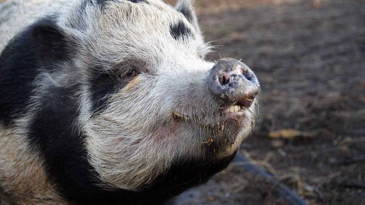 Home Whitening: Beyond The Hype, Real Results