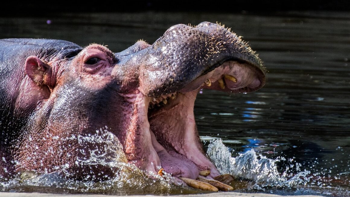 Beyond Bright: The Science Of Whitening Toothpaste