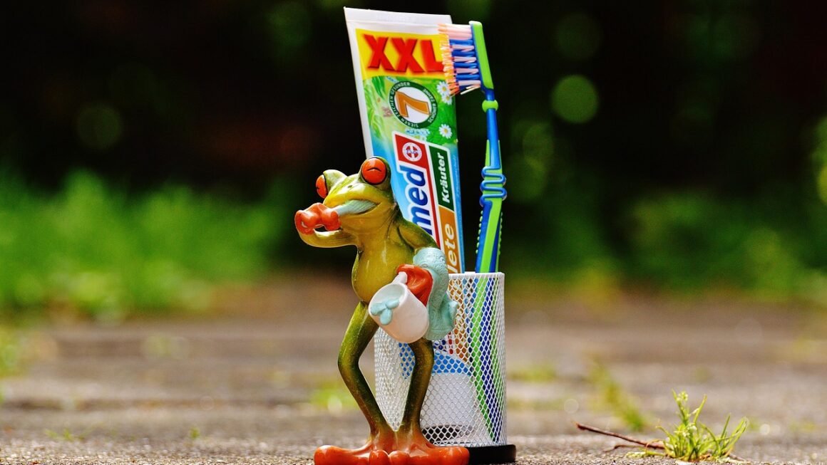 Decoding Dental: Maximizing Plan Benefits, Minimizing Costs