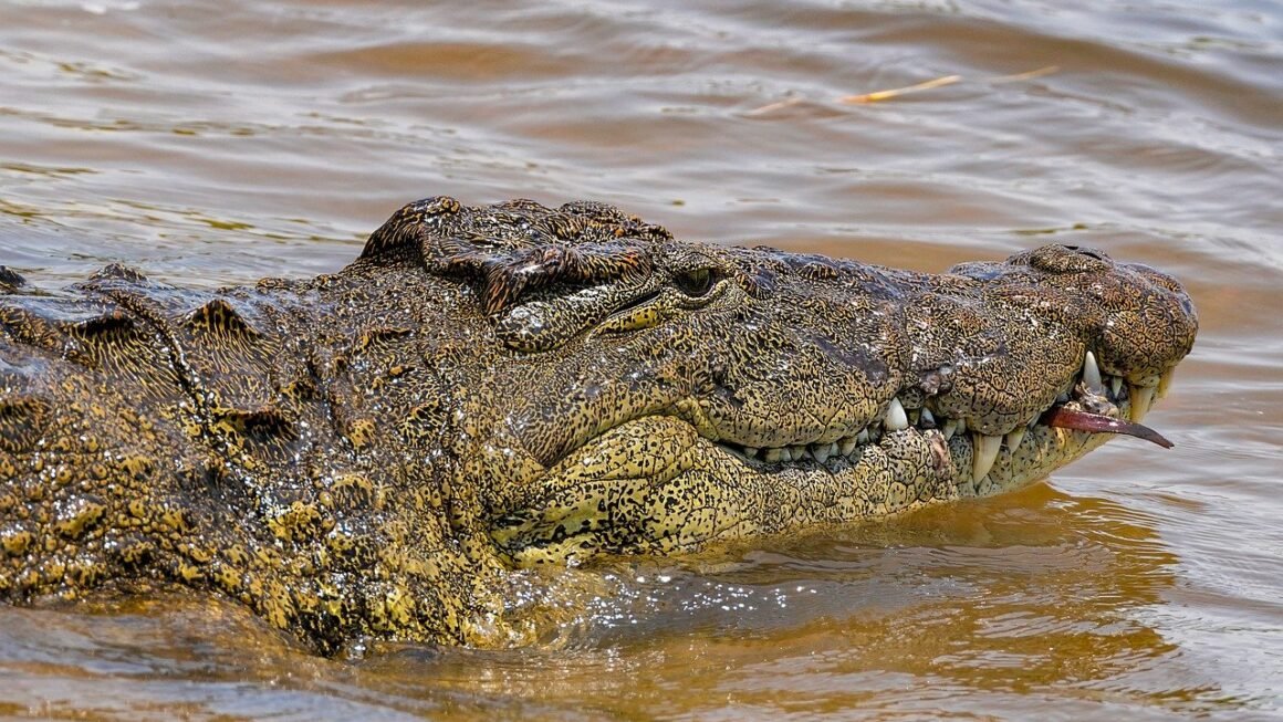 Beyond Bleach: Tailoring Teeth Whitening To Your Smile