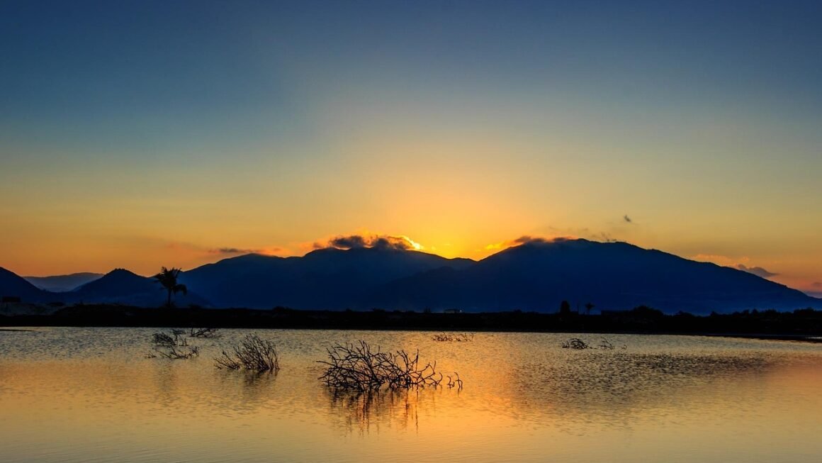 Beyond Brush: Next-Gen Oral Hygiene Tech Arrives