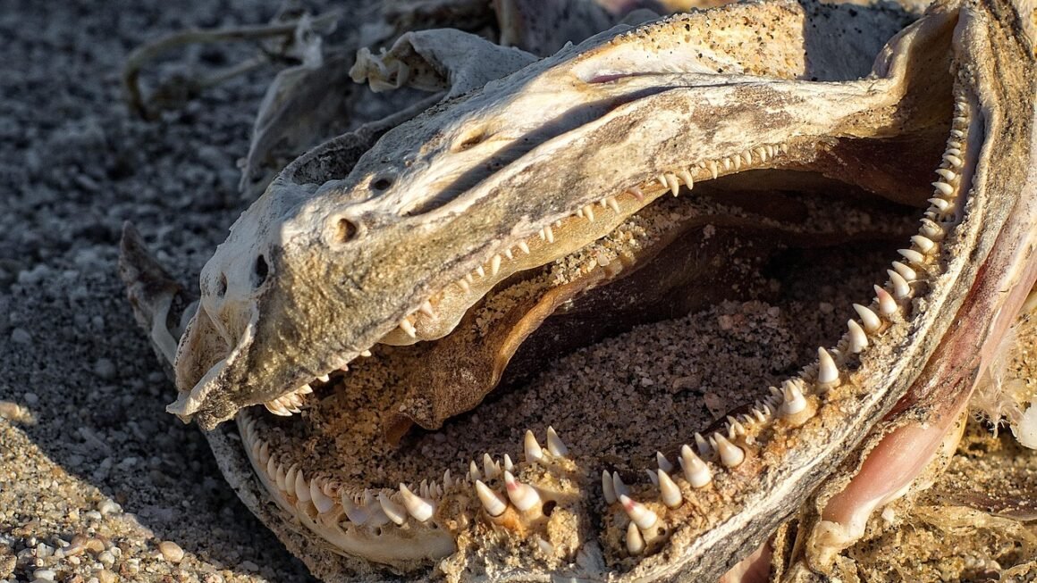 Beyond Bright: Professional Whitening Kit Longevity & Sensitivity