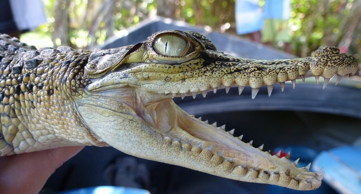 Beyond Bleach: Unconventional Paths To A Brighter Smile