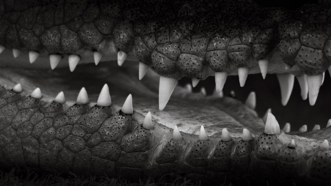 Beyond The Sticker Price: True Teeth Whitening Costs