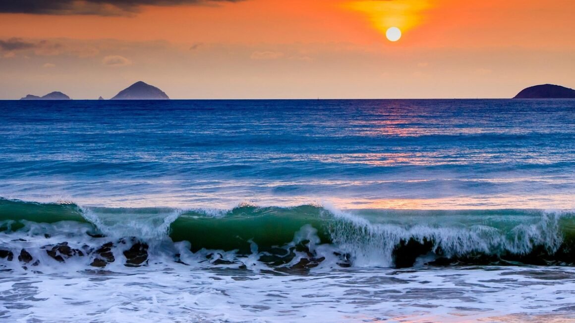 Beyond Benefits: Group Dentals Role In Employee Wellbeing