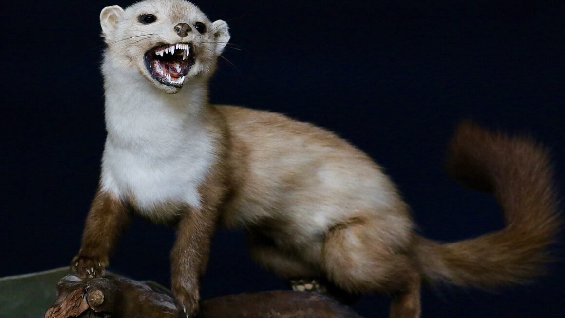 Beyond Bleach: Custom Teeth Whitening Protocols Emerge