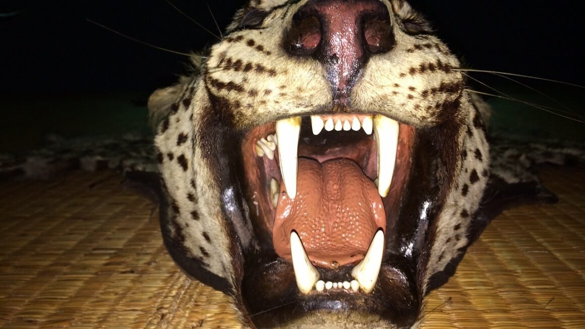 Beyond Bright: Permanent Whitening Strategies Unveiled