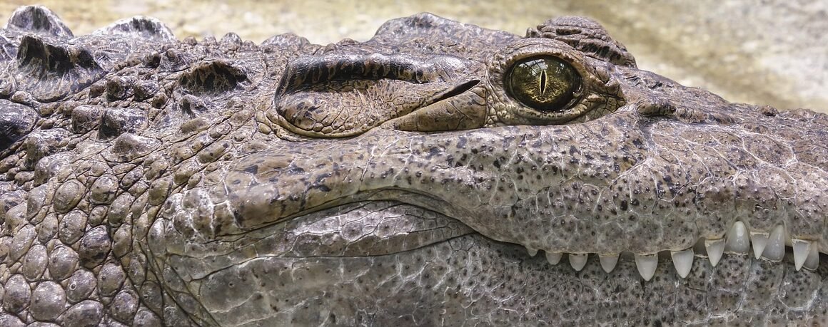 Beyond Peroxide: Gentle Brightenings Scientific Revolution