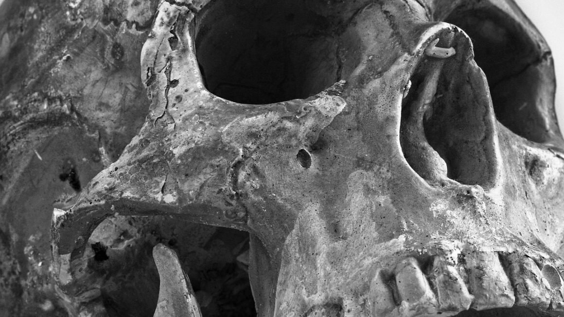 Beyond Bleach: A Pro Whitening Kit Revolution