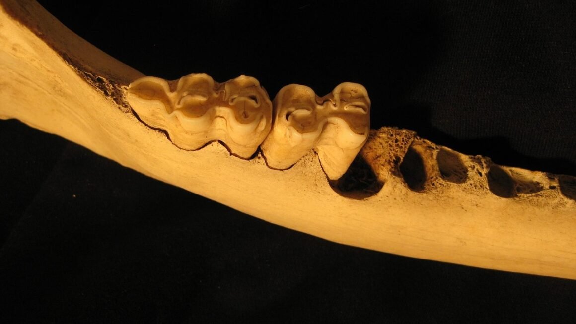 Beyond The Shade Chart: Real Teeth Whitening Outcomes
