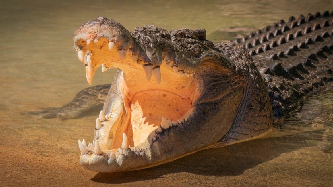 Beyond Bleach: Mastering Unconventional Stain Solutions