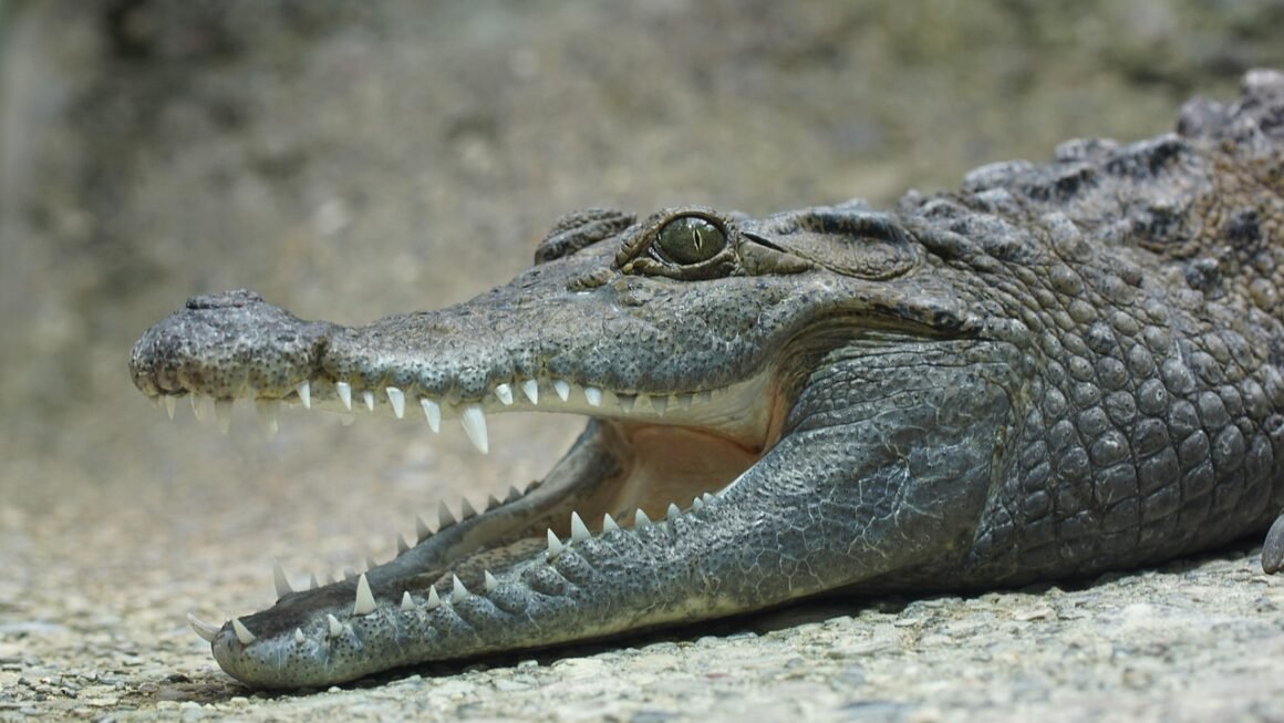 Beyond Bleach: The Science Of Professional Teeth Whitening