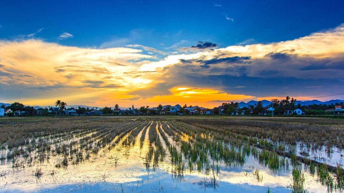 Beyond Cold: Decoding Your Tooth Sensitivity