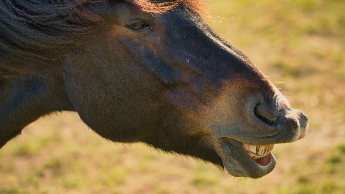 Beyond The Sticker Price: True Teeth Whitening Cost