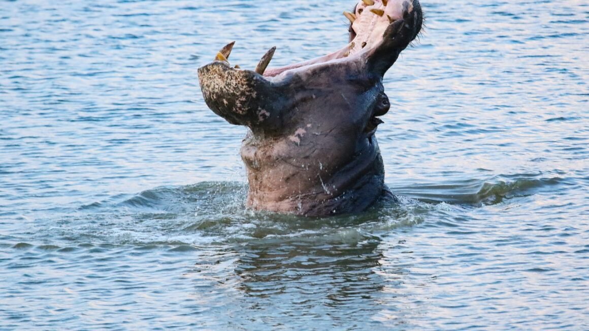 Beyond The Bleach: Quantifying Teeth Whitening Outcomes